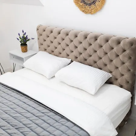 Ring Pool & Padel Belgrade Baric