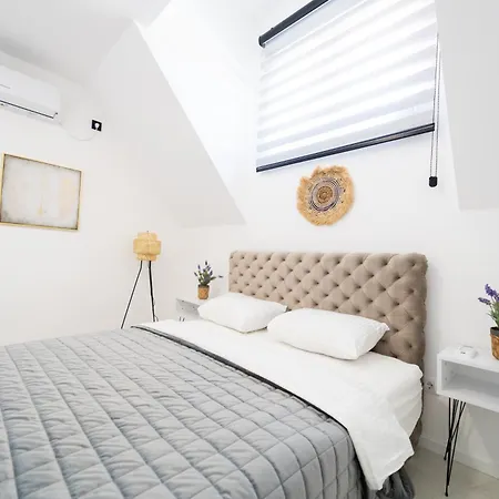 Ring Pool & Padel Belgrade * Baric