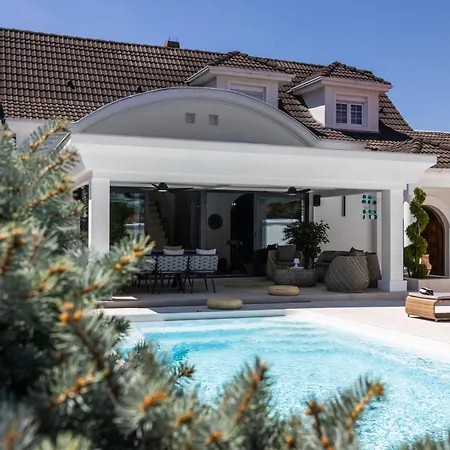 Ring Pool & Padel Belgrade Villa Baric