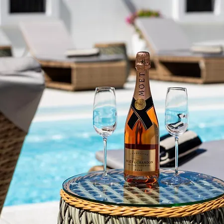 Ring Pool & Padel Belgrade Villa Baric