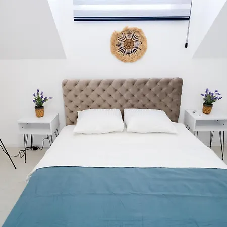 Villa Ring Pool & Padel Belgrade Baric