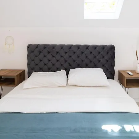 Ring Pool & Padel Belgrade * Baric