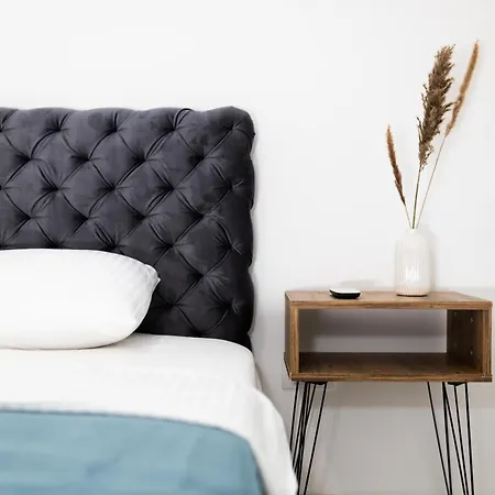 Ring Pool & Padel Belgrade Villa