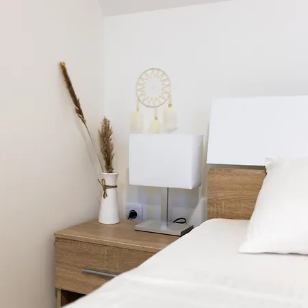 Ring Pool & Padel Belgrade Villa *