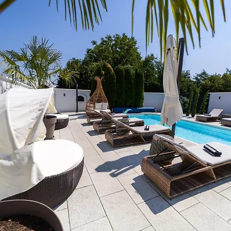 Ring Pool & Padel Belgrade Villa