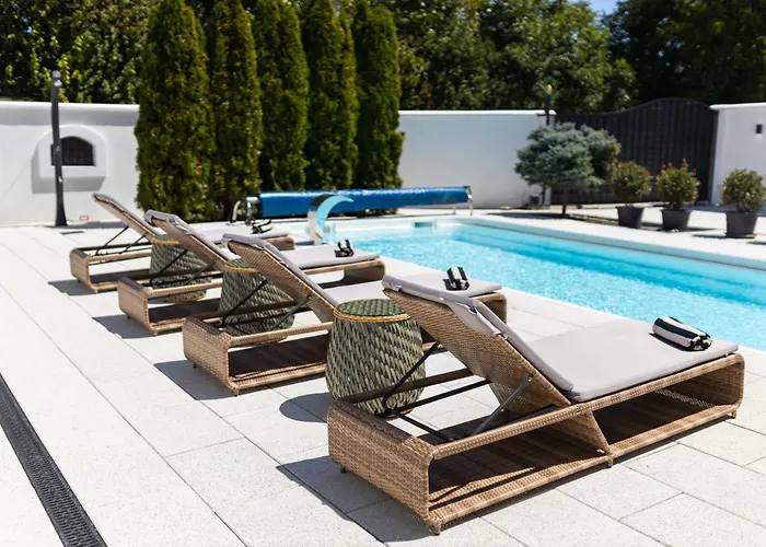 Villa Ring Pool & Padel Belgrade *