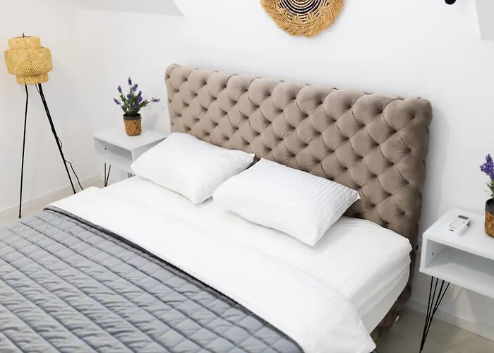 Ring Pool & Padel Belgrade Baric