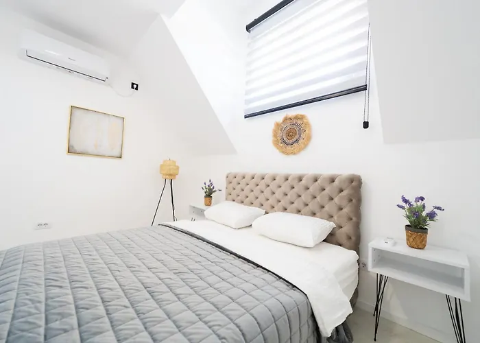 Ring Pool & Padel Belgrade * Baric