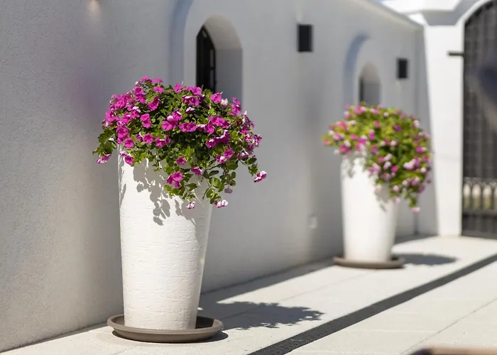 Ring Pool & Padel Belgrade