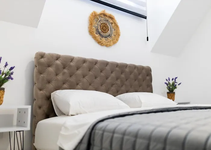 Ring Pool & Padel Belgrade Villa