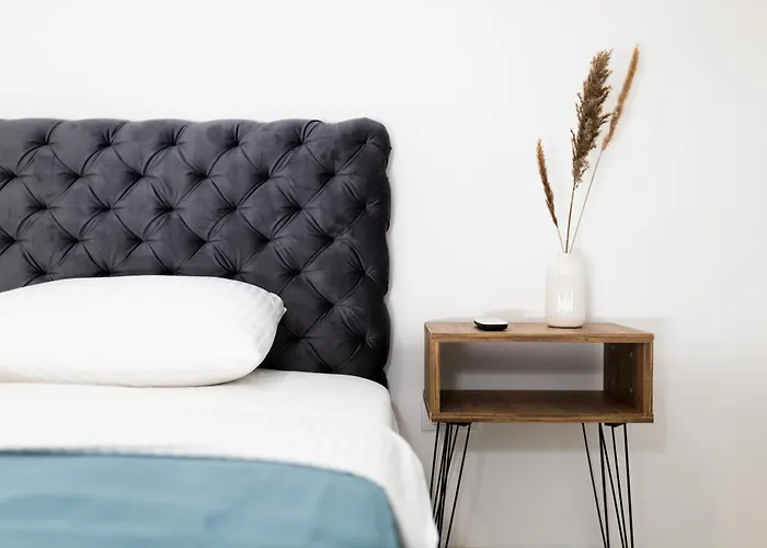 Ring Pool & Padel Belgrade Villa