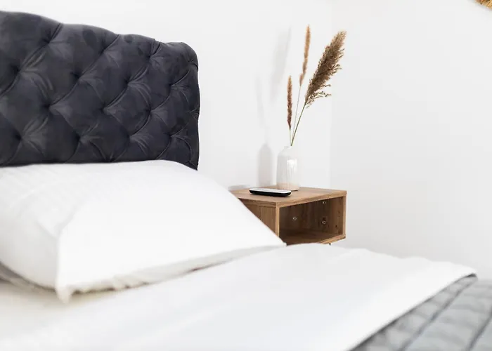 Villa Ring Pool & Padel Belgrade *