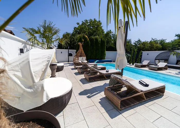 Ring Pool & Padel Belgrade Villa